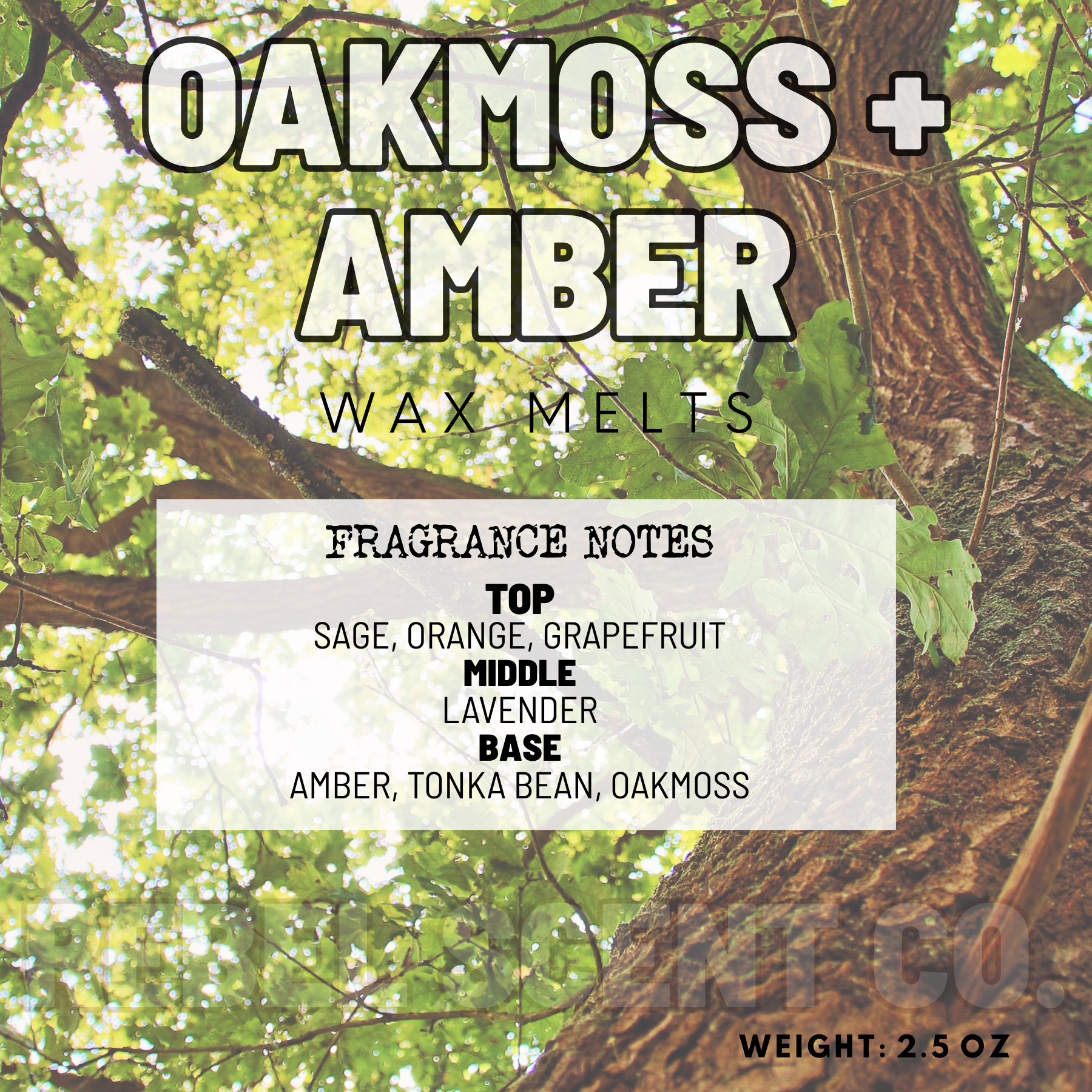 Oak Moss + Amber Wax Melts - 2.5oz