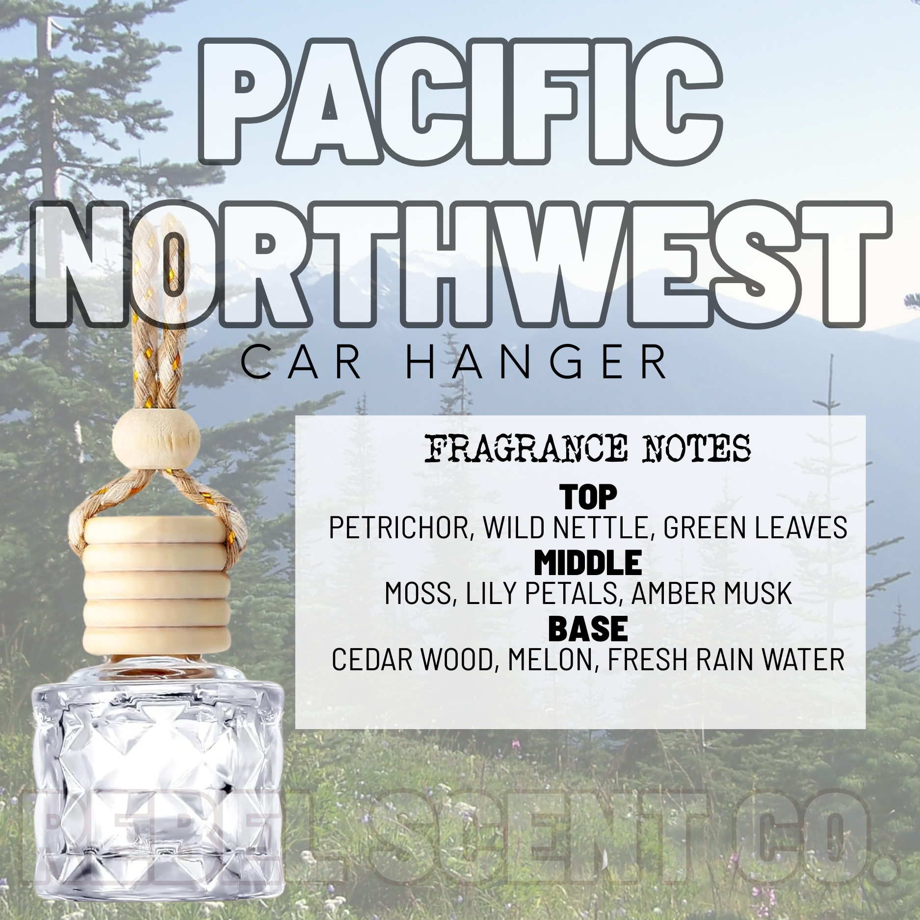Pacific Northwest Car Hanger