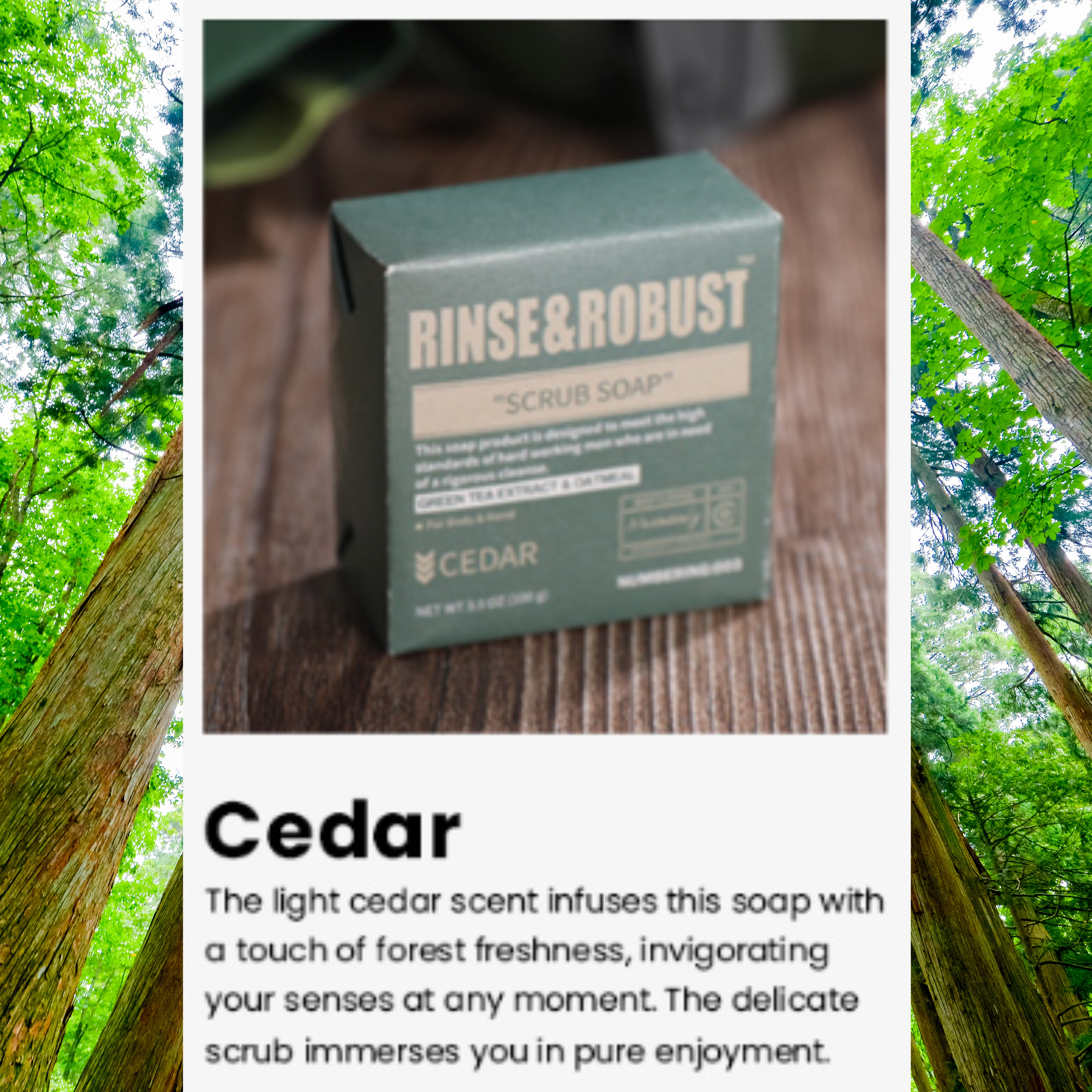 Scrub Soap: Cedar