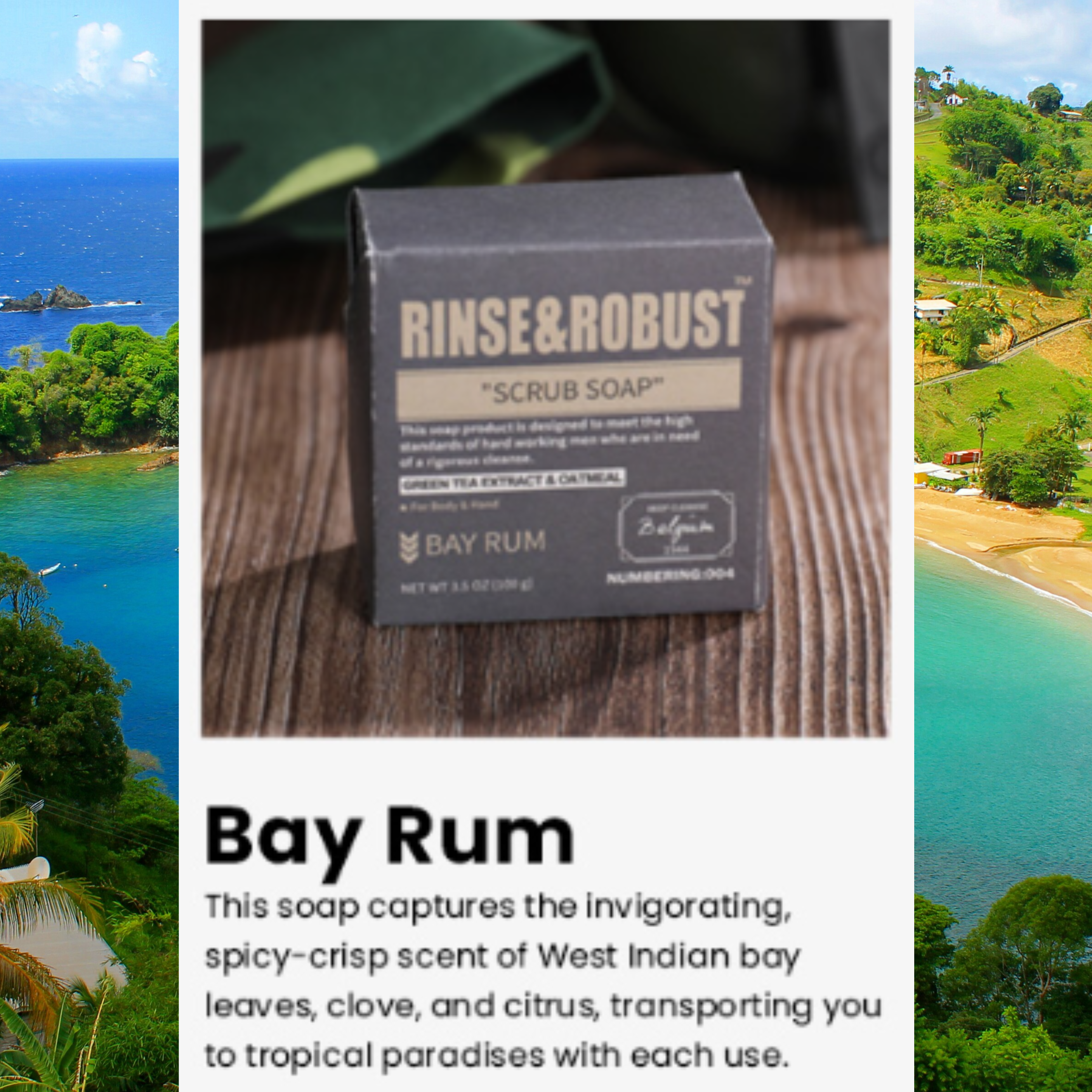Scrub Soap: Bay Rum