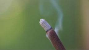 Bloom Incense (Pack of 10)